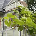 Mares Паланга
